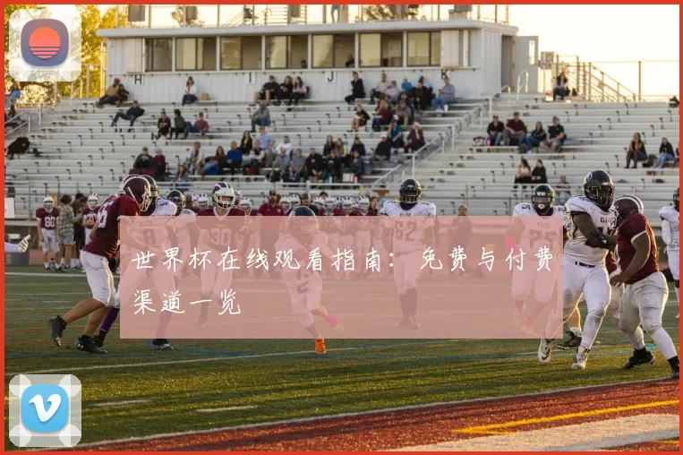 世界杯在线观看指南：免费与付费渠道一览