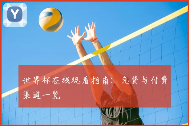 世界杯在线观看指南：免费与付费渠道一览