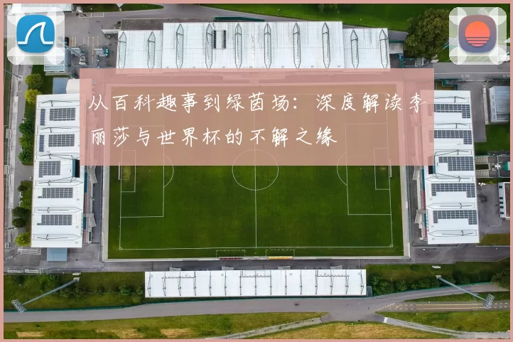 从百科趣事到绿茵场:深度解读李丽莎与世界杯的不解之缘