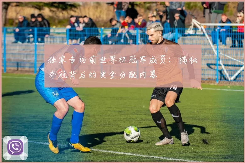 独家专访前世界杯冠军成员:揭秘夺冠背后的奖金分配内幕