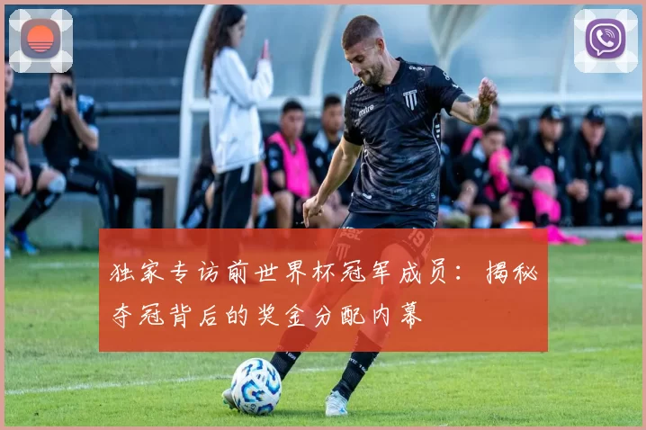 独家专访前世界杯冠军成员:揭秘夺冠背后的奖金分配内幕