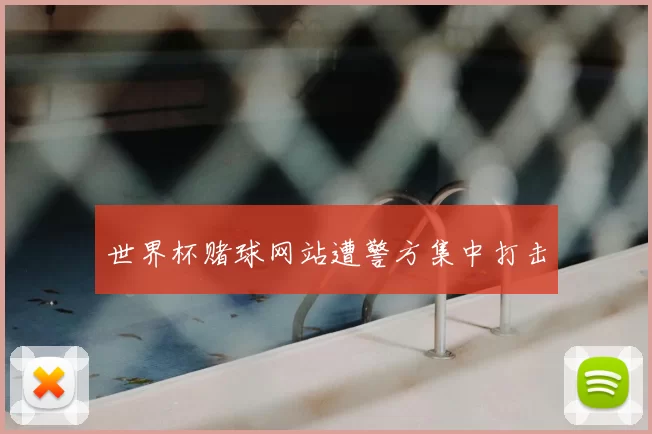 世界杯赌球网站遭警方集中打击