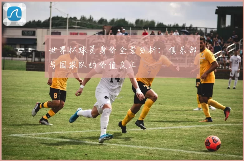世界杯球员身价全景分析:俱乐部与国家队的价值交汇